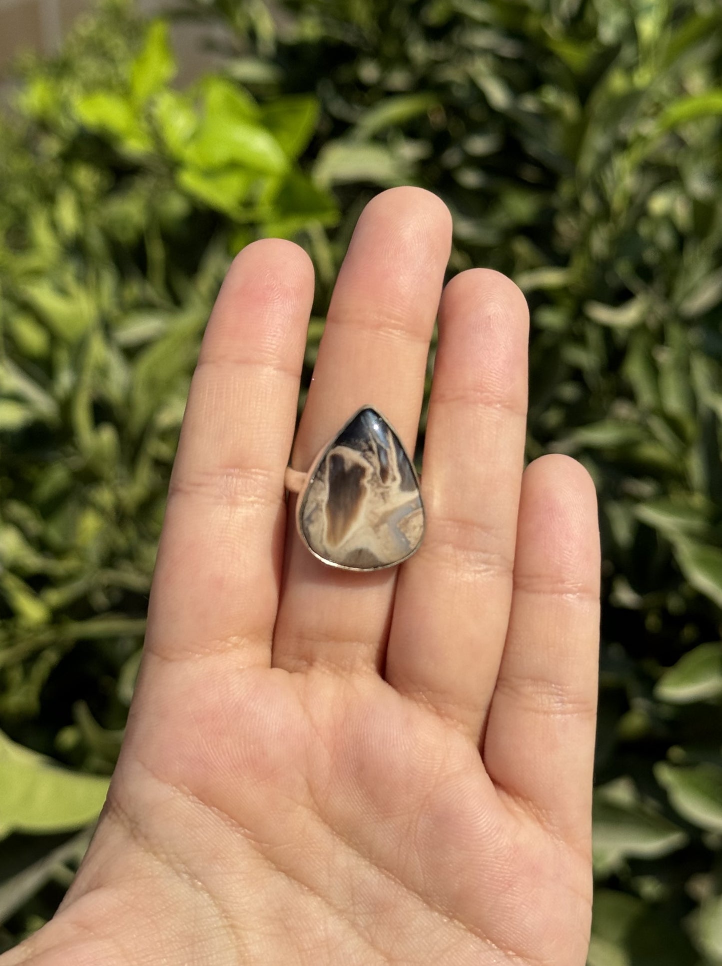 Plume Root Jasper Silver Ring